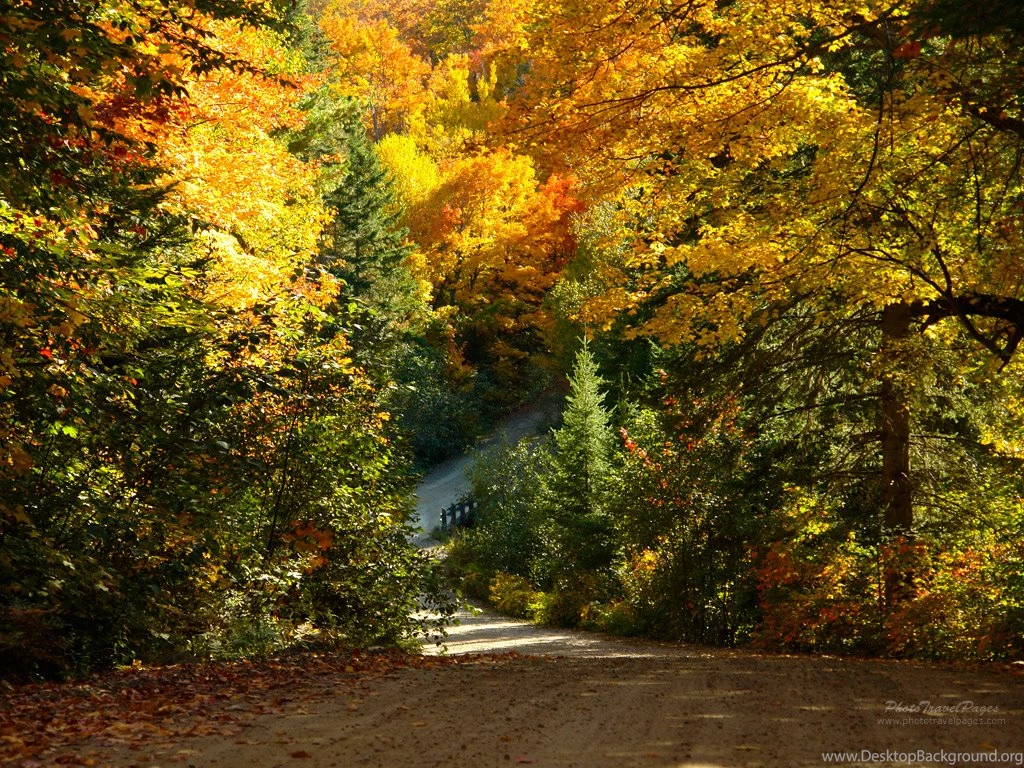 Fall Scenes Wallpapers   HD Wallpapers And Pictures