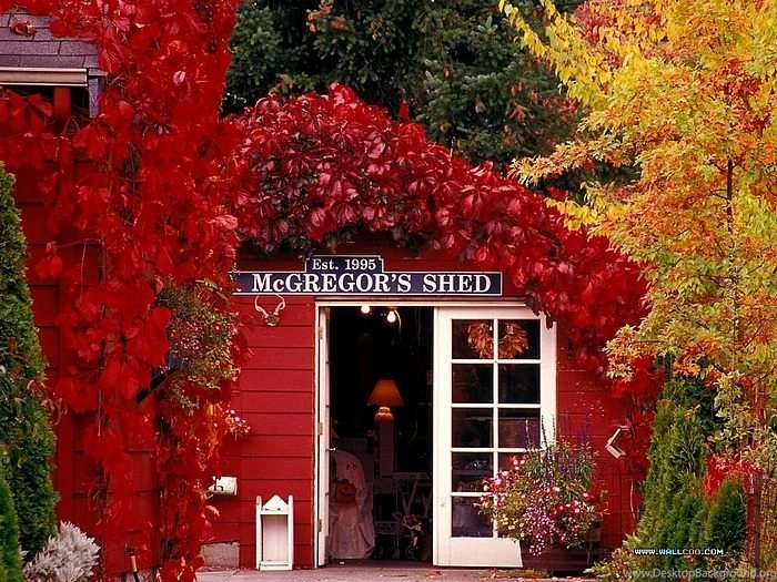 Fall Colors   Amazing Autumn Scene Wallpapers 5   Wallcoo.net