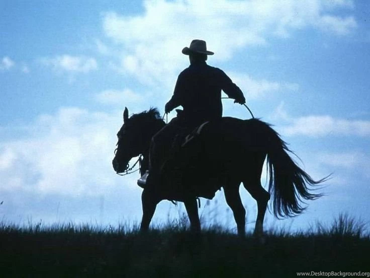 Hot Cowboys Wallpapers