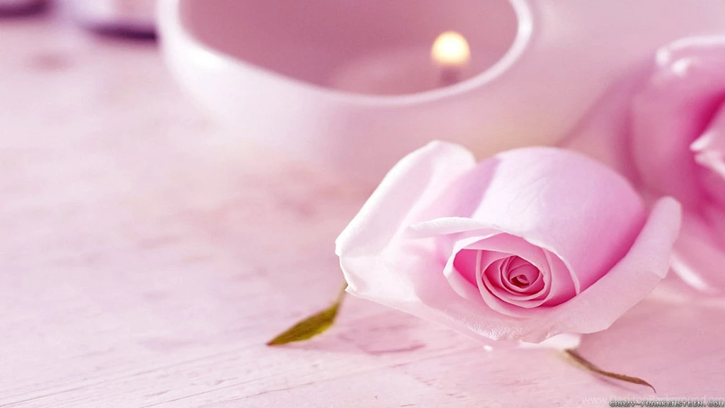 Romantic Rose Wallpapers 2 Crazy Frankenstein