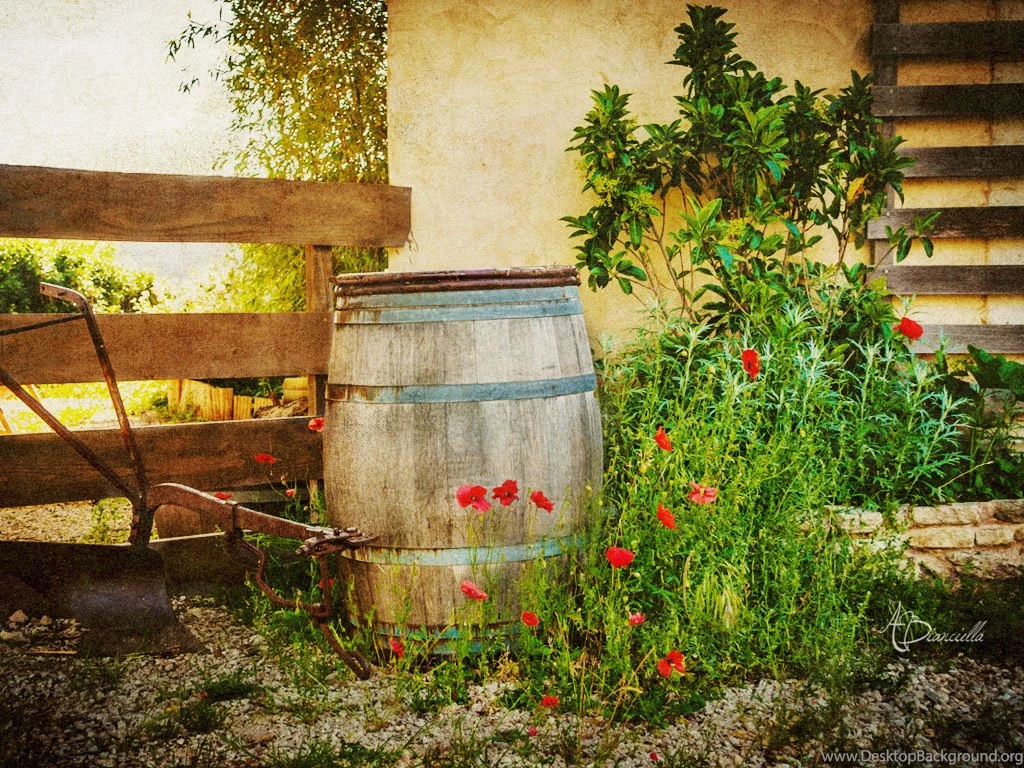 Anthony Bianciella   Lifestyle Photographer   Wallpapers