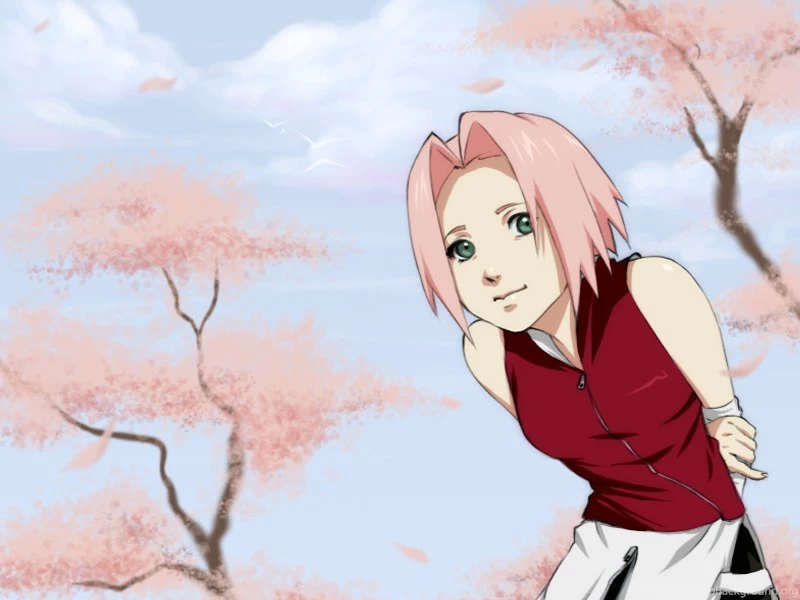 Sakura Haruno Sakura Wallpapers (2459612) Fanpop