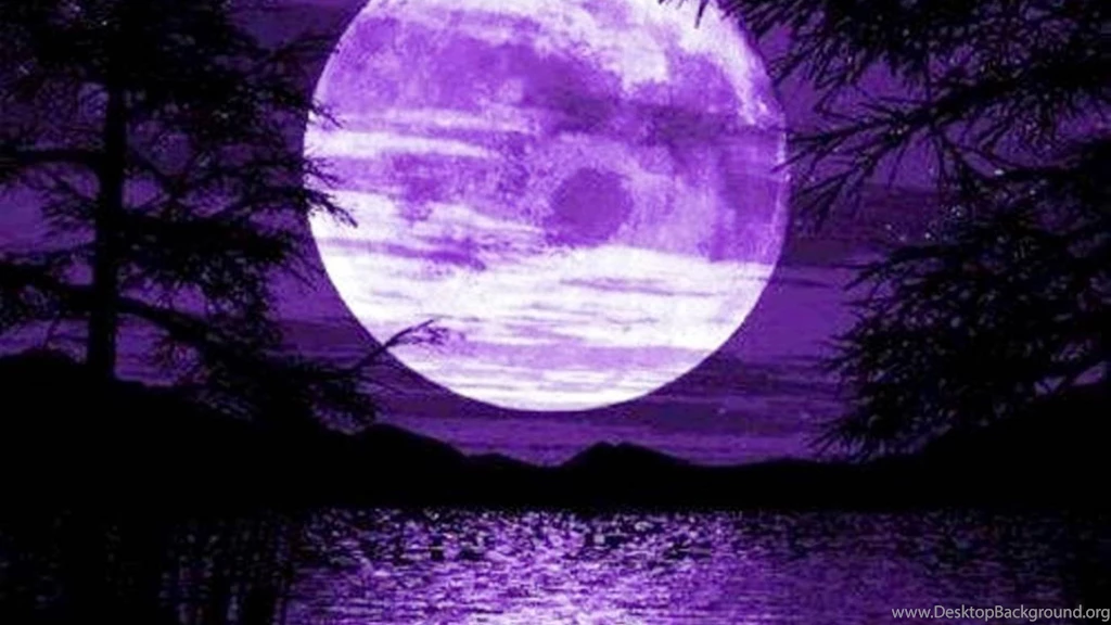The Royal Moon (