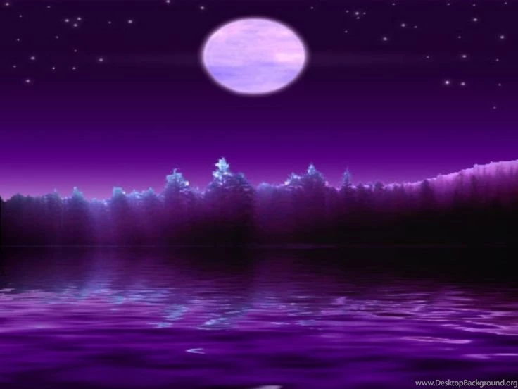 Last Night Sky View