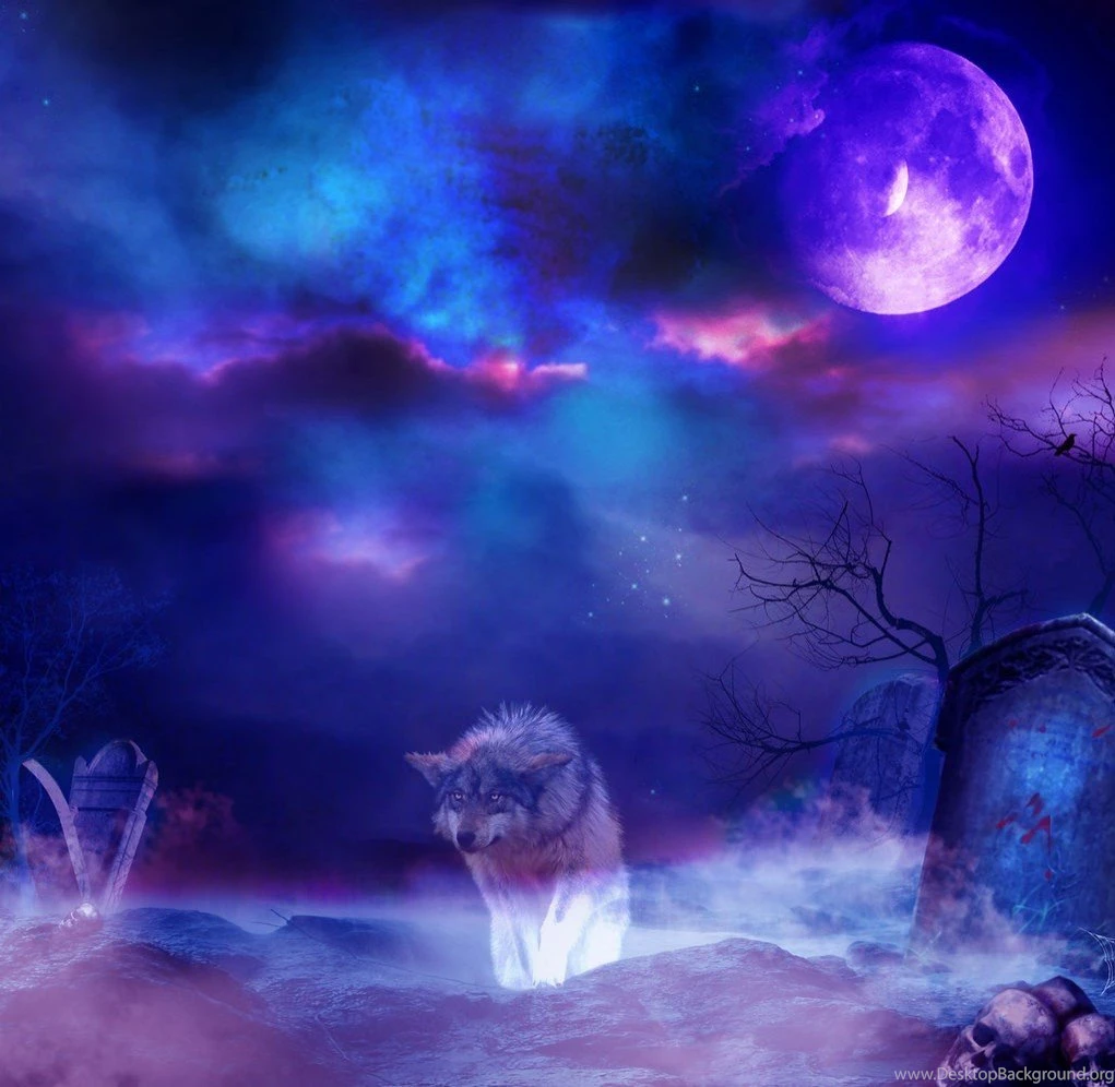 Dogs: Wolf Night Cemetery Blue Dark Dog Manipulation Animal Purple ...