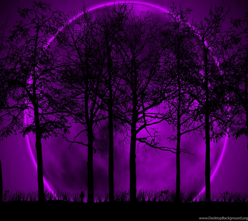 Pink & Purple For Da Ladies Enjoy And Reshare