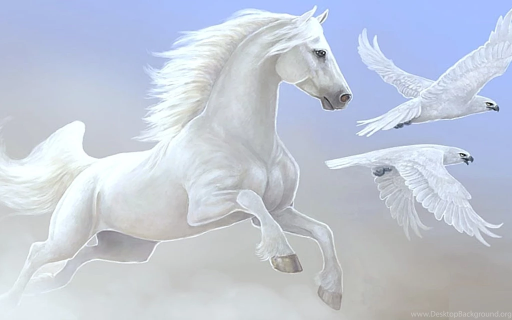 Animal Zone Beautiful Horses Hd Wallpapers Hd Horse Wallpapers ...