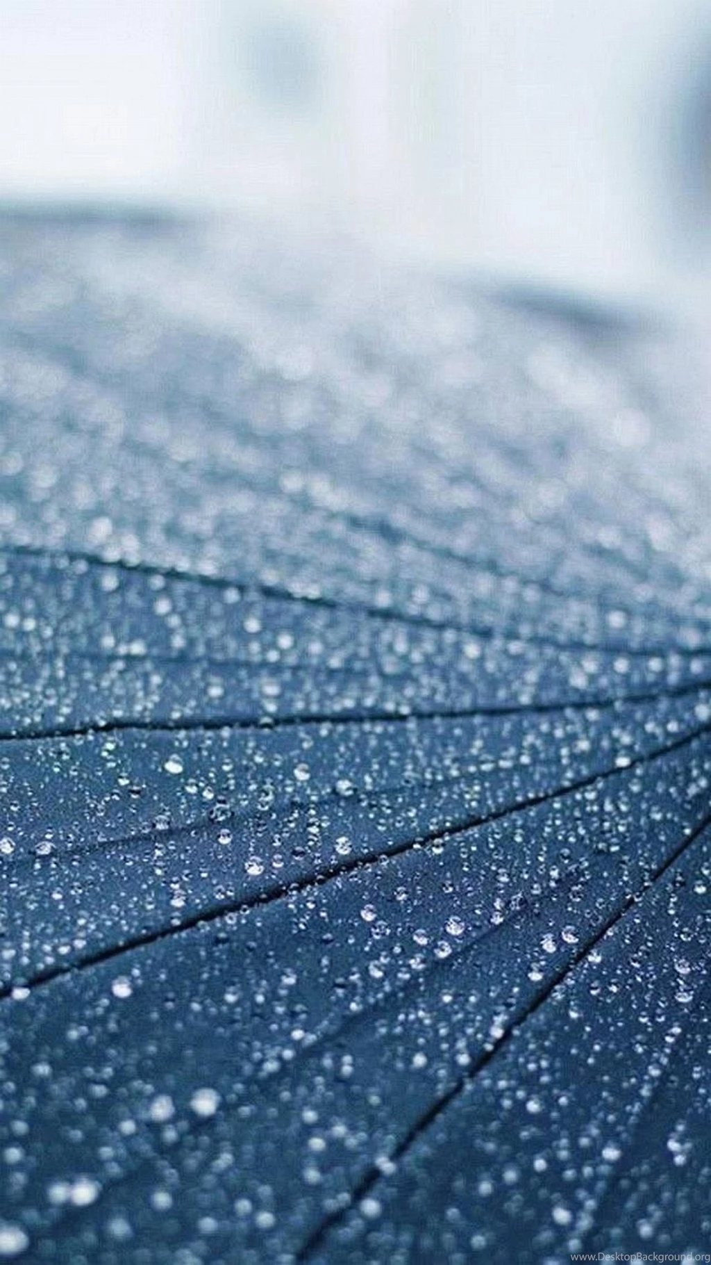 Wallpapers Iphone 7 1080 1920 Full Hd 103   1080 X 1920   Iphone 7 ...