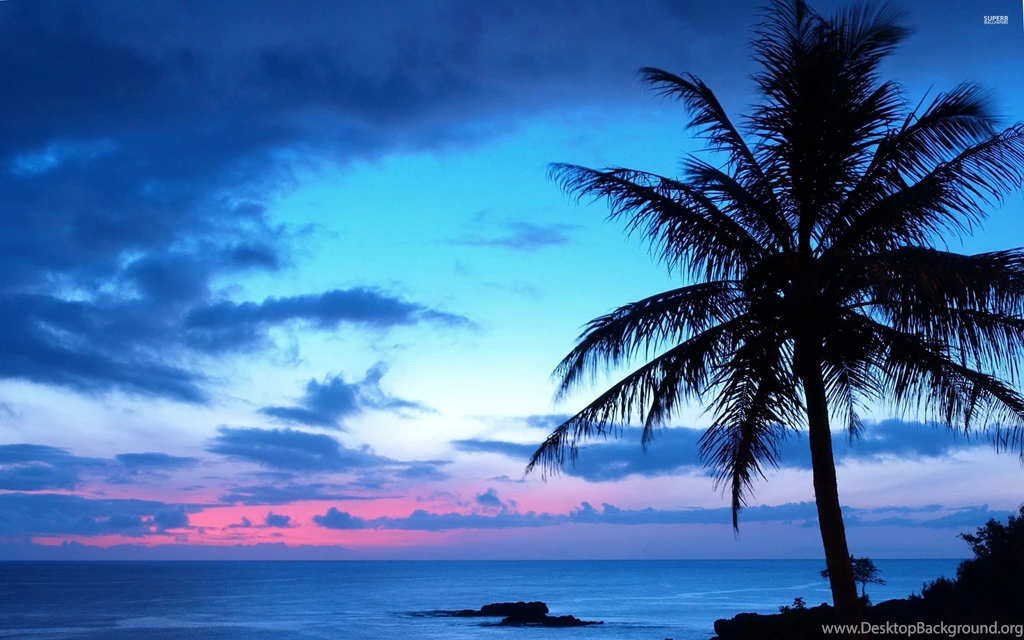 Blue Sunset Wallpapers