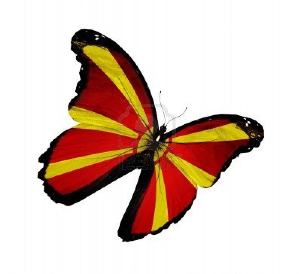 Macedonian Flag Butterfly (