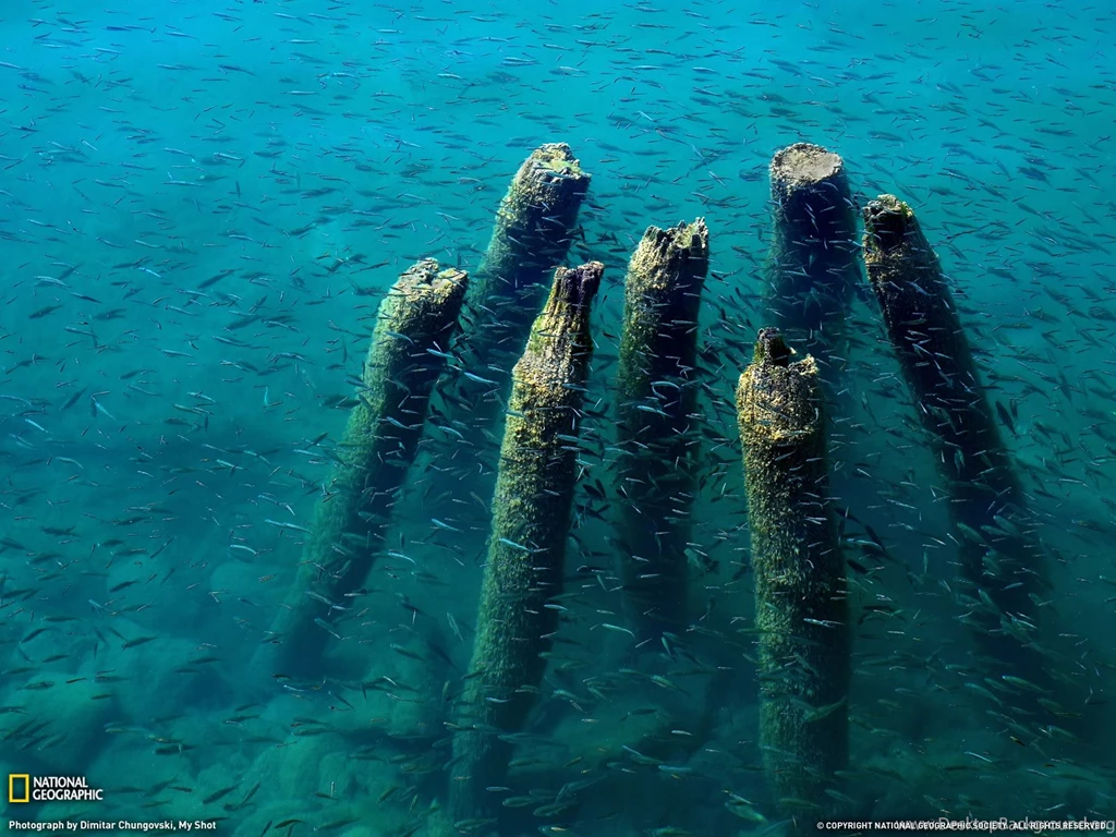 Lake Ohrid Dock Photo, Nature Wallpapers – National Geographic ...