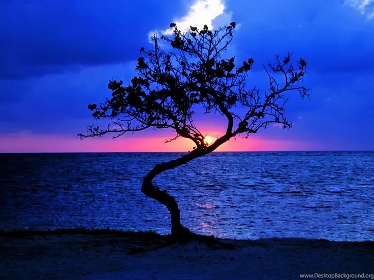 Belize Beaches Sunset Wallpaper.