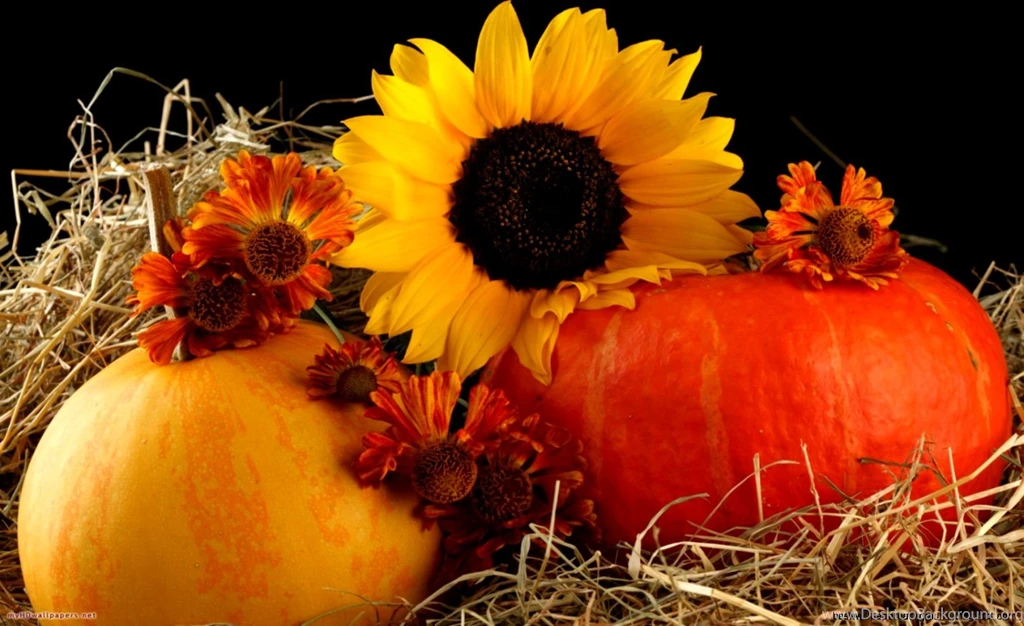 Fall Scene Wallpapers With Pumpkins