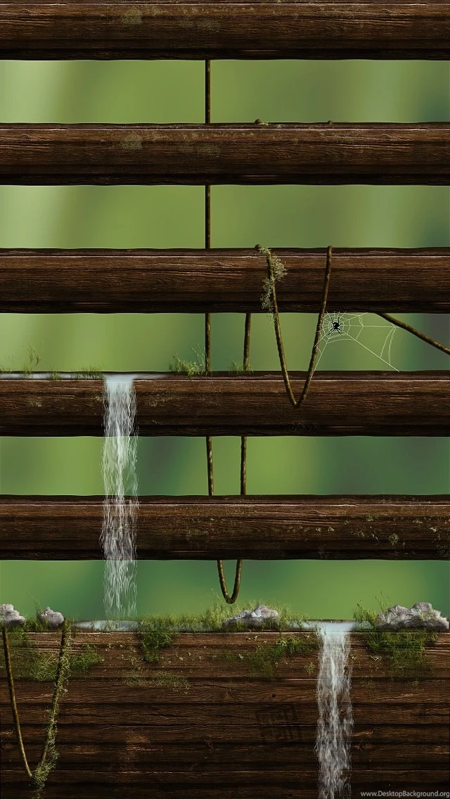 30 iPhone 5 Shelves Wallpapers