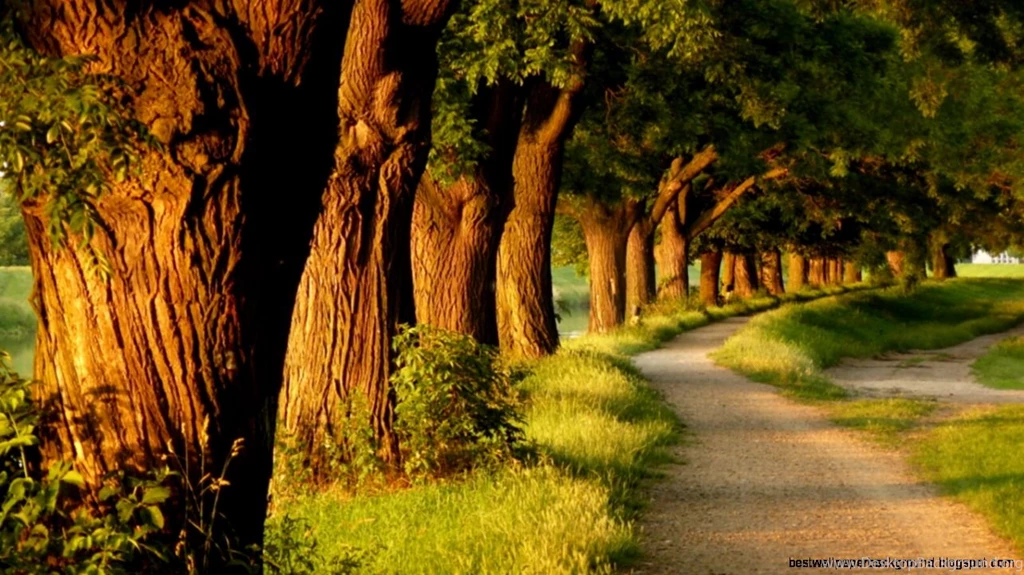 Beautiful Nature Pictures Facebook