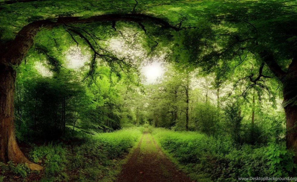 Wallpapers Hd Nature