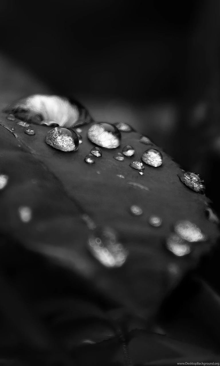 Blackberry Z10 HD Wallpapers HD Wallpaper Backgrounds Of Your ...