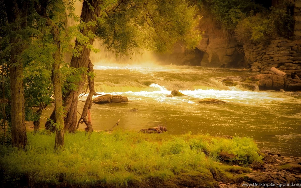 1920x1200 Forest River Hd Wallpapers