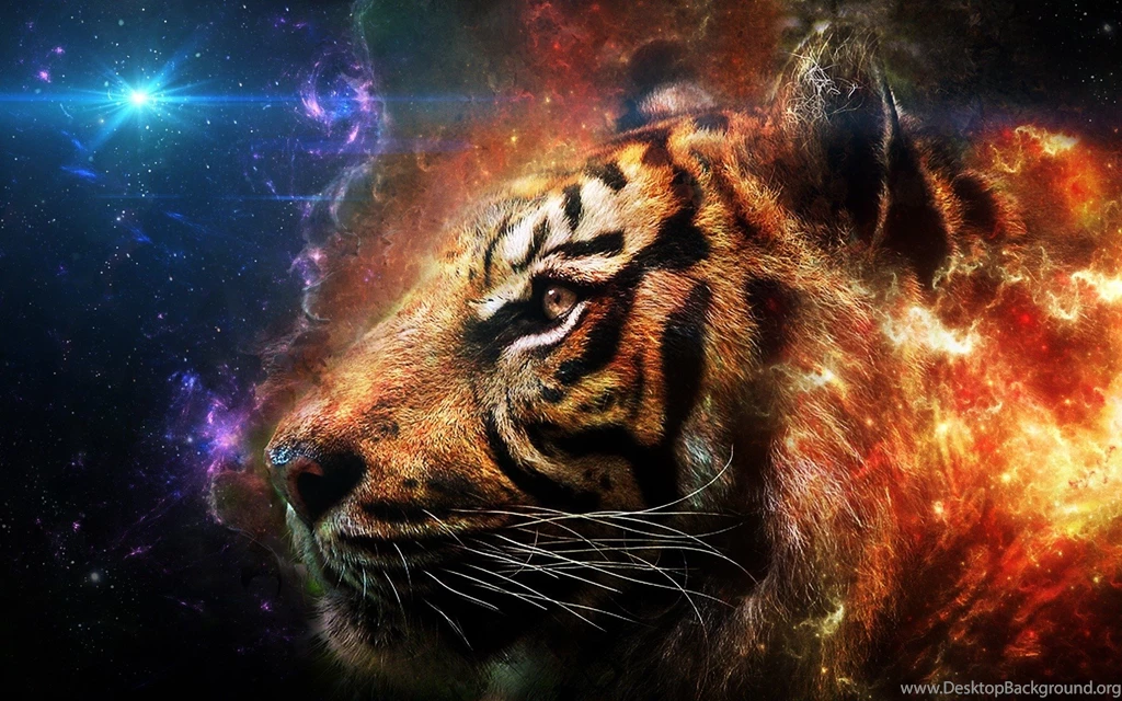Hd Desktop Wallpapers 1920x1200,desktop Wallpapers