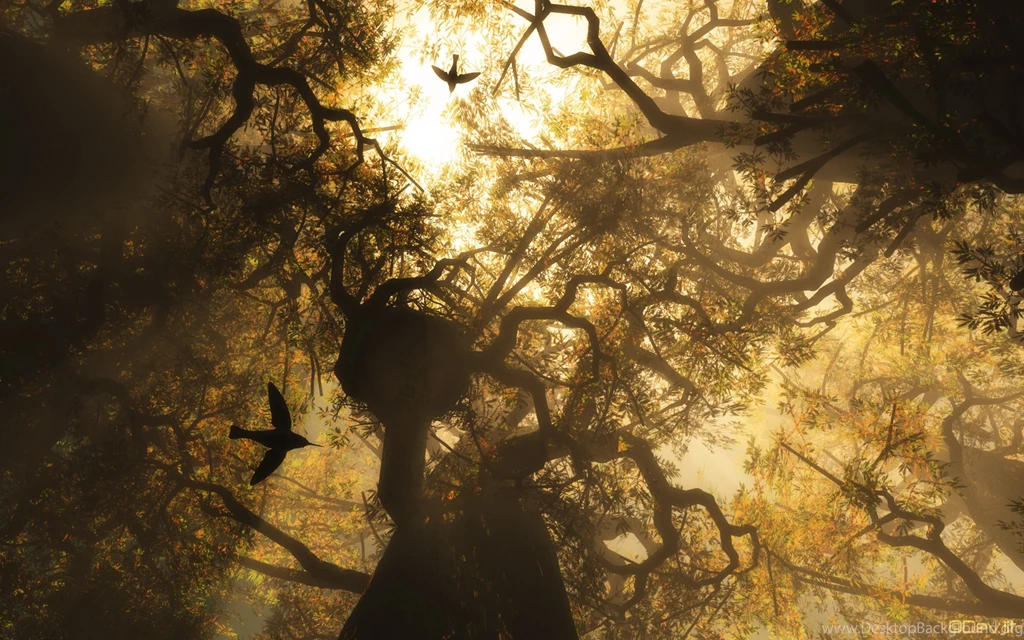 GUI Champs 2012: Most Creative And Most Usable Wallpapers Winners ...