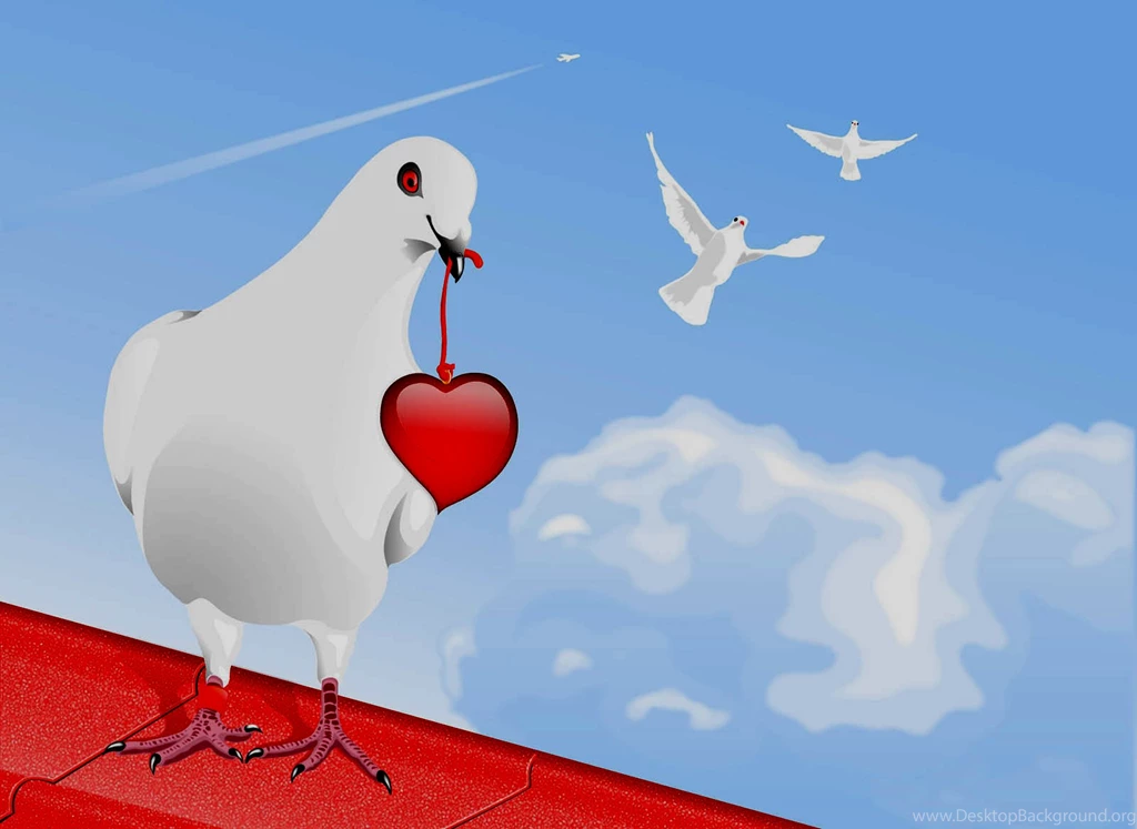 3D Wallpapers HD 3d Heart With Lovely Bird Wallpapers High Quality ...