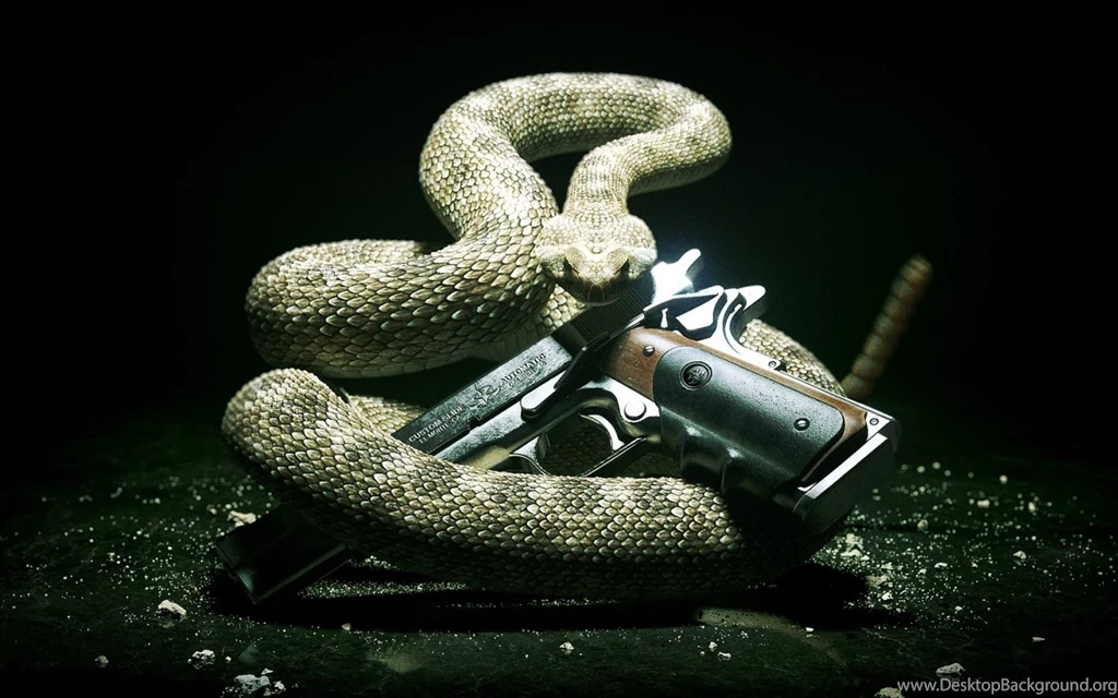 Hitman Snake And The Gun Desktop Backgrounds HD 1920x1080