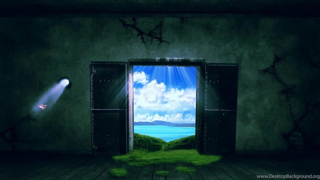 Wallpapers Cricket Hd Windows In Black 1600x900