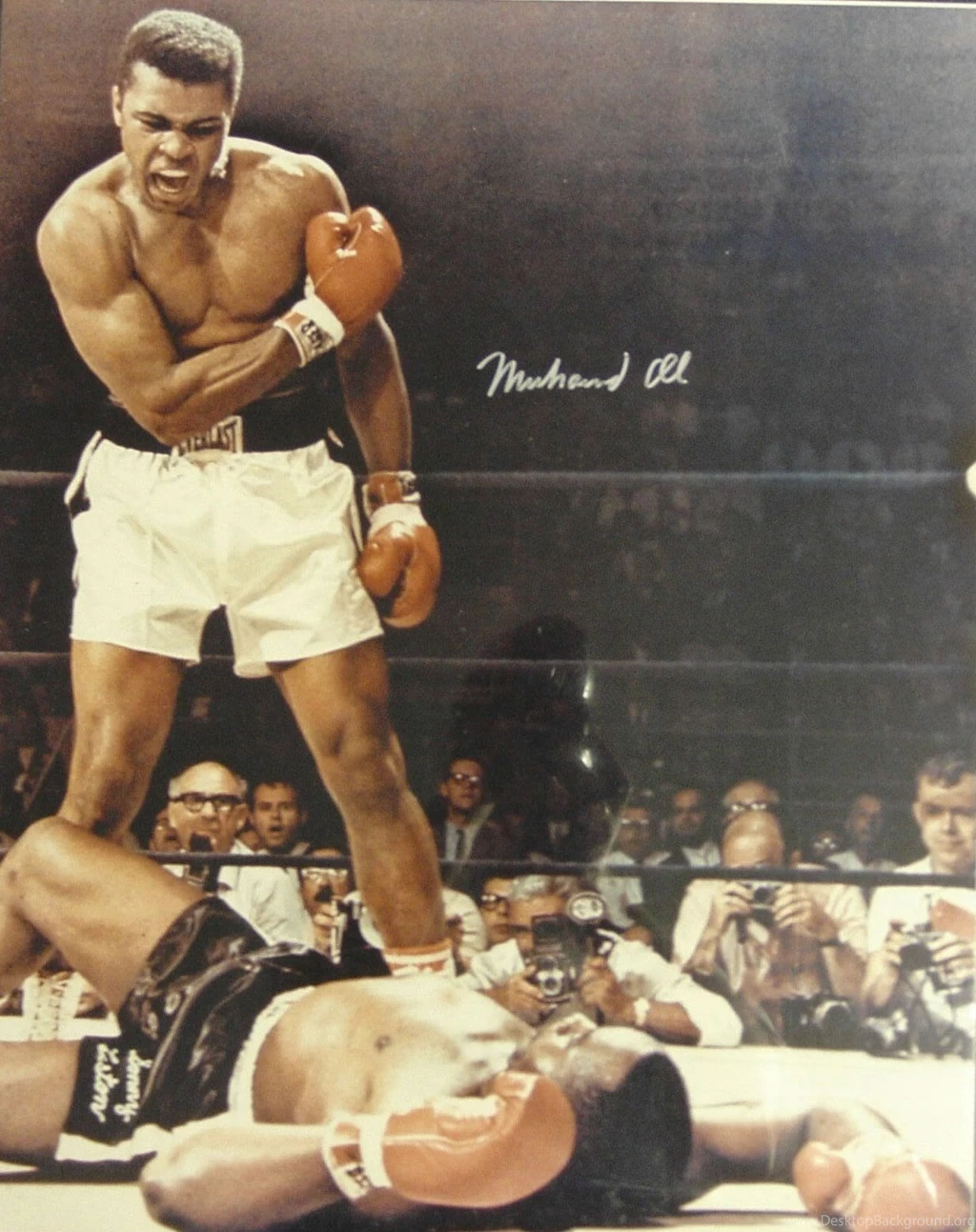 Boxing Legend Joe Frazier Dies At Age 67 Popular Blog Post