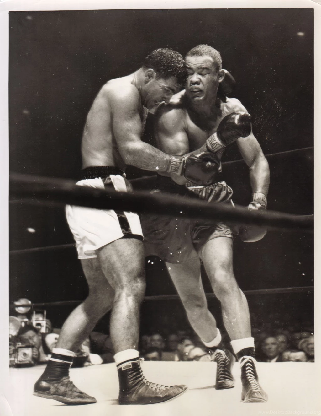 The Fight Game On Pinterest