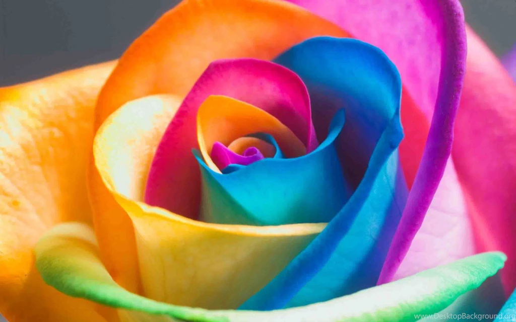 Nice Wallpapers Colorful