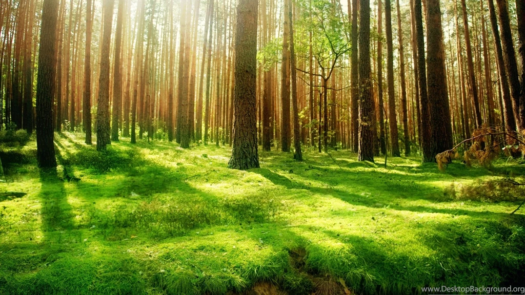 Top 10 Most Beautiful Sceneries In The World Wallpaper Images ...