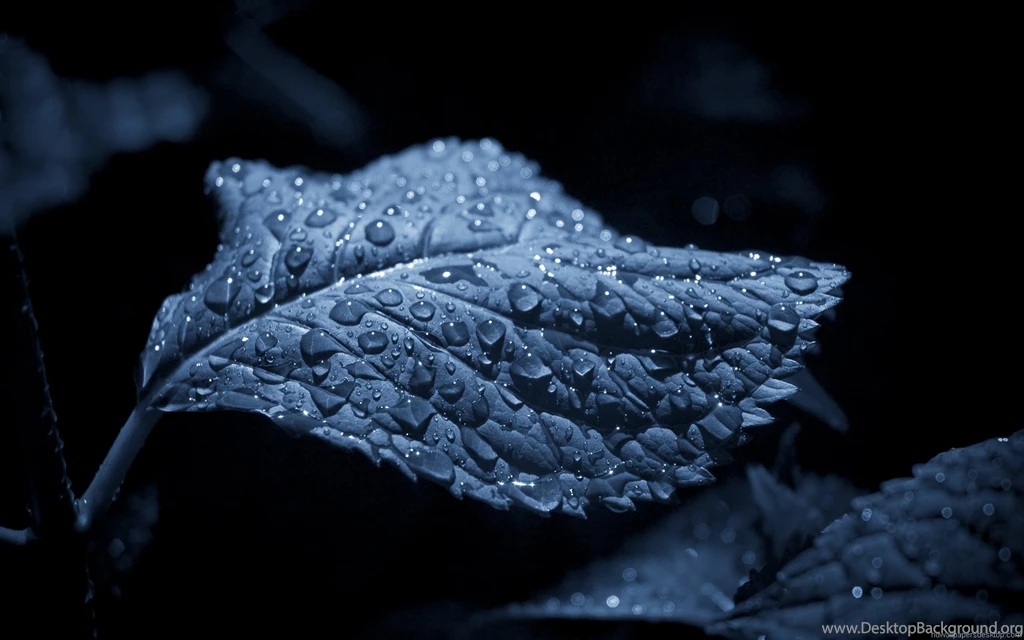 HD Wallpapers 1080P, Full HD Widescreen Desktop Wallpapers ...
