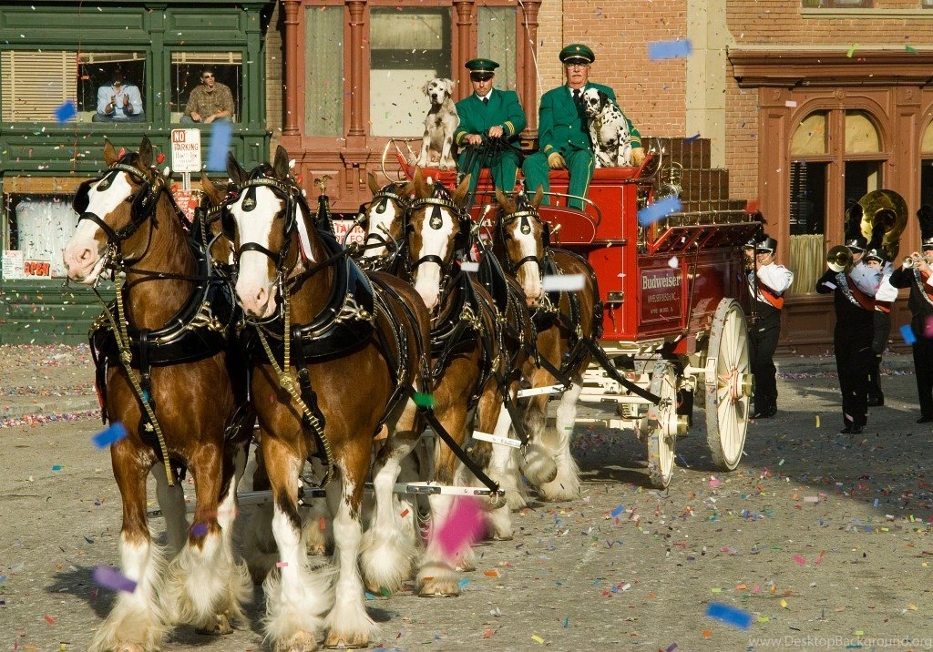 Budweiser Super Bowl Commercials