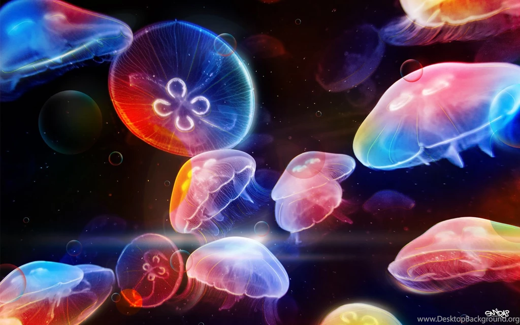 Jellyfish Wallpapers Wallpapers Cave