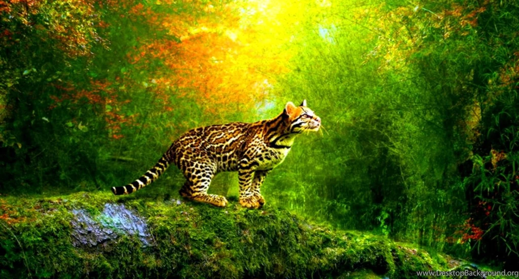 3D Animation Wallpapers