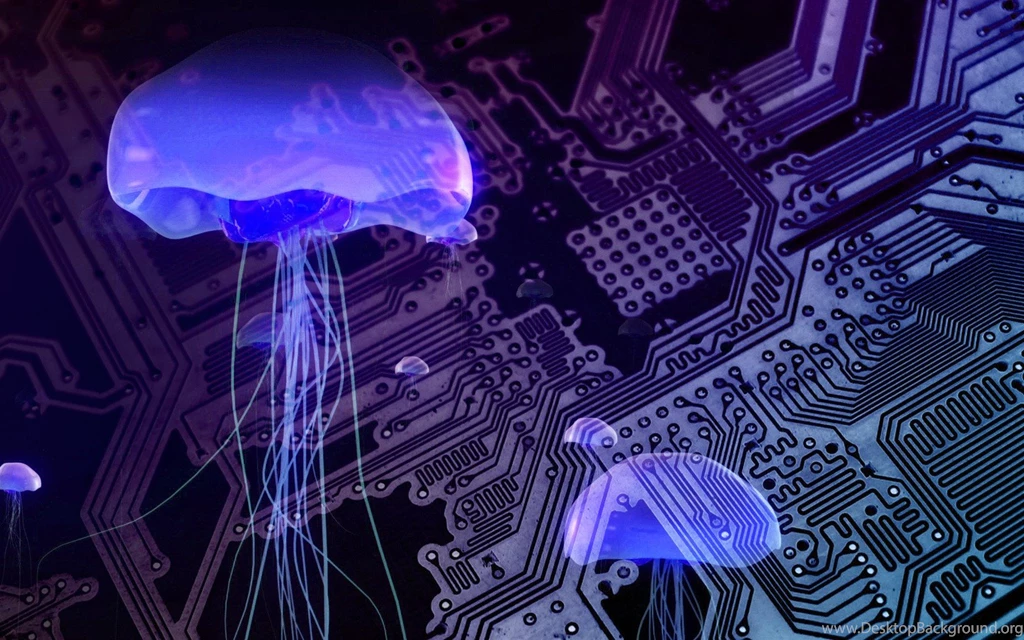 Electric Jellyfish Wallpapers Paper Wall HD