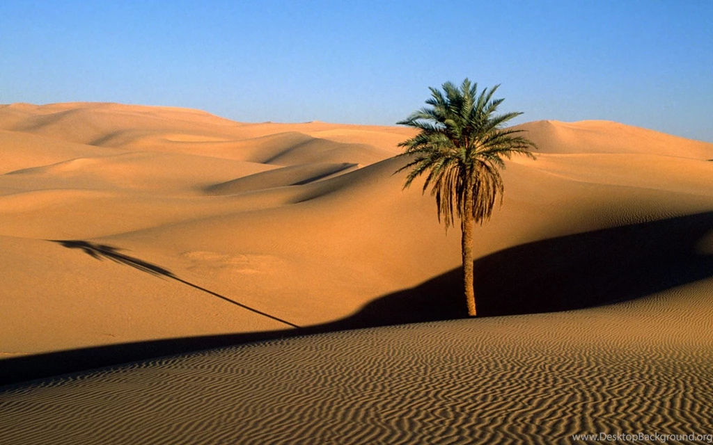 Desert Sand Dunes Wallpaper Images