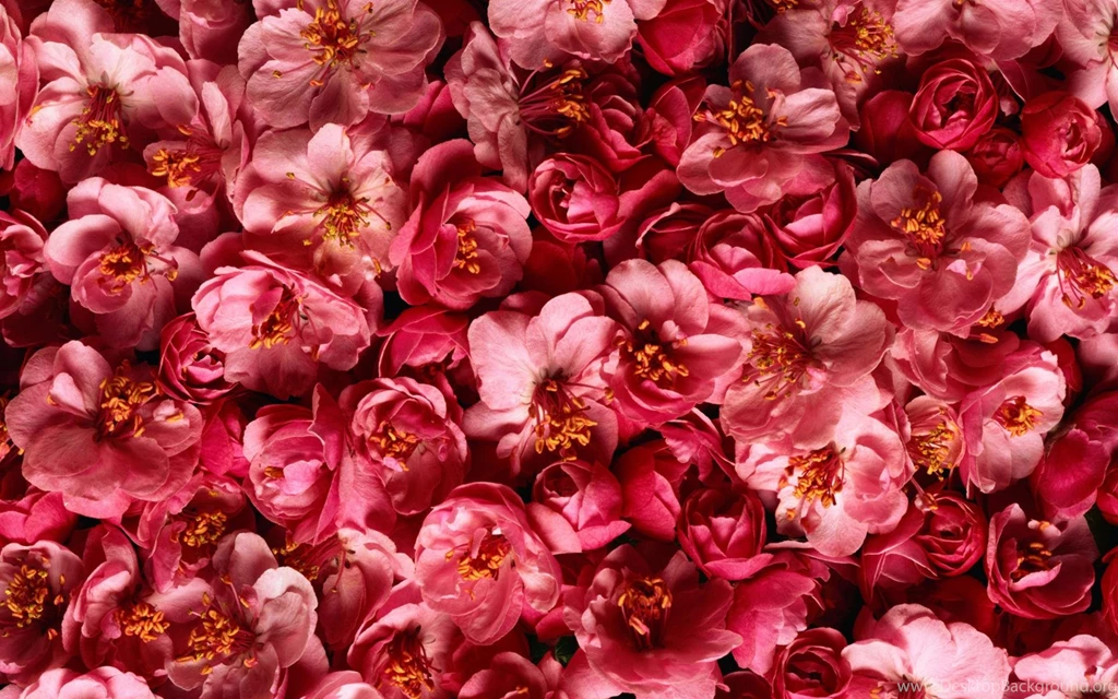 Pattern Wallpapers >> Backgrounds With Quality HD