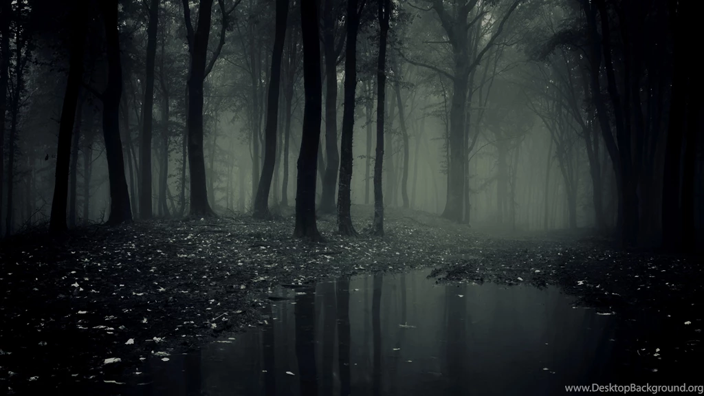 Dark Forest Wallpapers High Resolution Uncalke.com