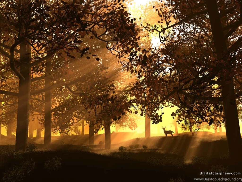 Cool Wallpapers For Computer Wallpapers HD Base