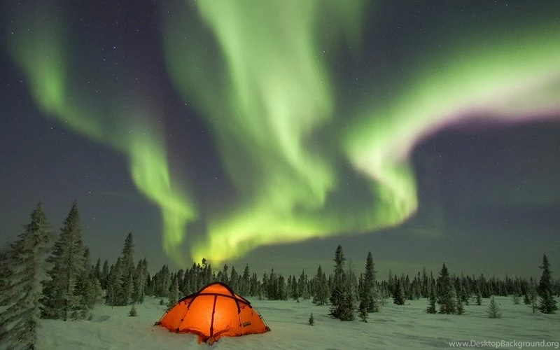 Aurora Borealis 1680x1050 Wallpapers – Nature Forests HD Desktop ...