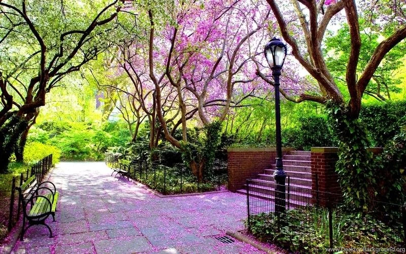 Nature,trees Nature Trees Pink Stairways Bench Scenic Lamp Posts ...