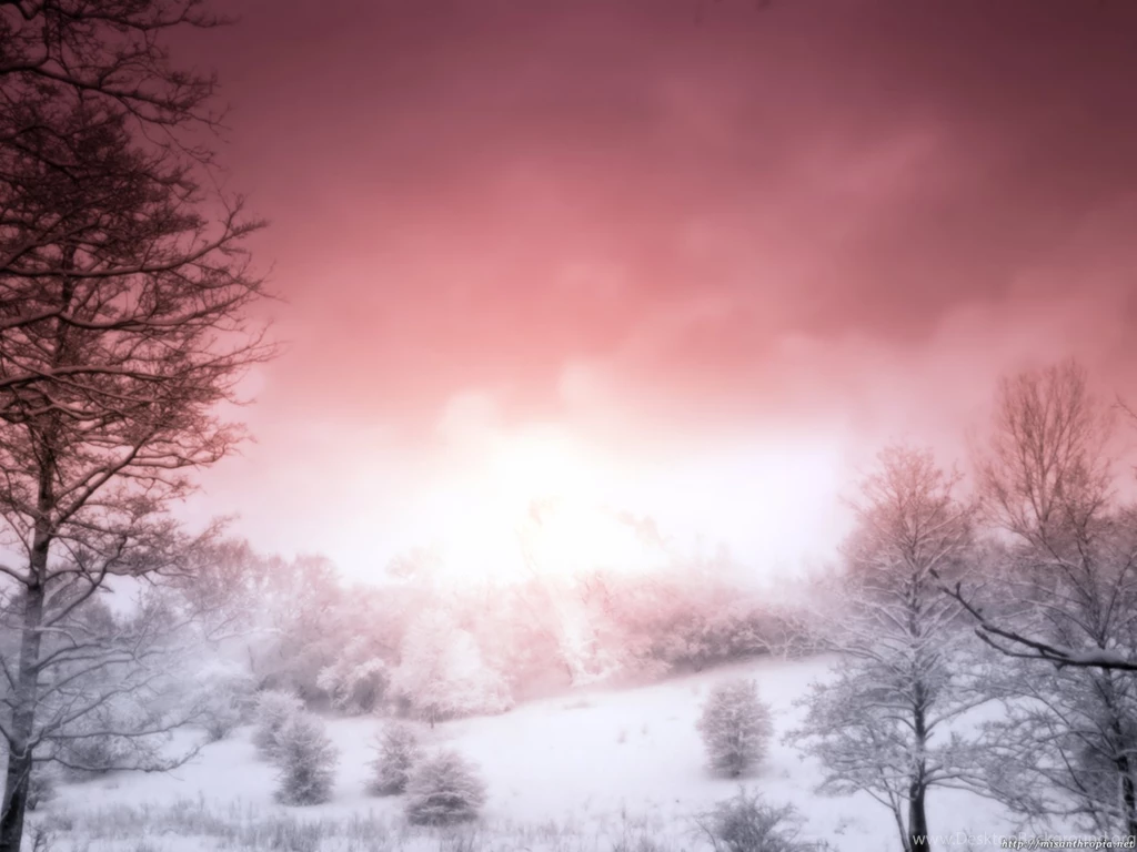 Pink Nature Wallpapers   Widescreen HD Wallpapers