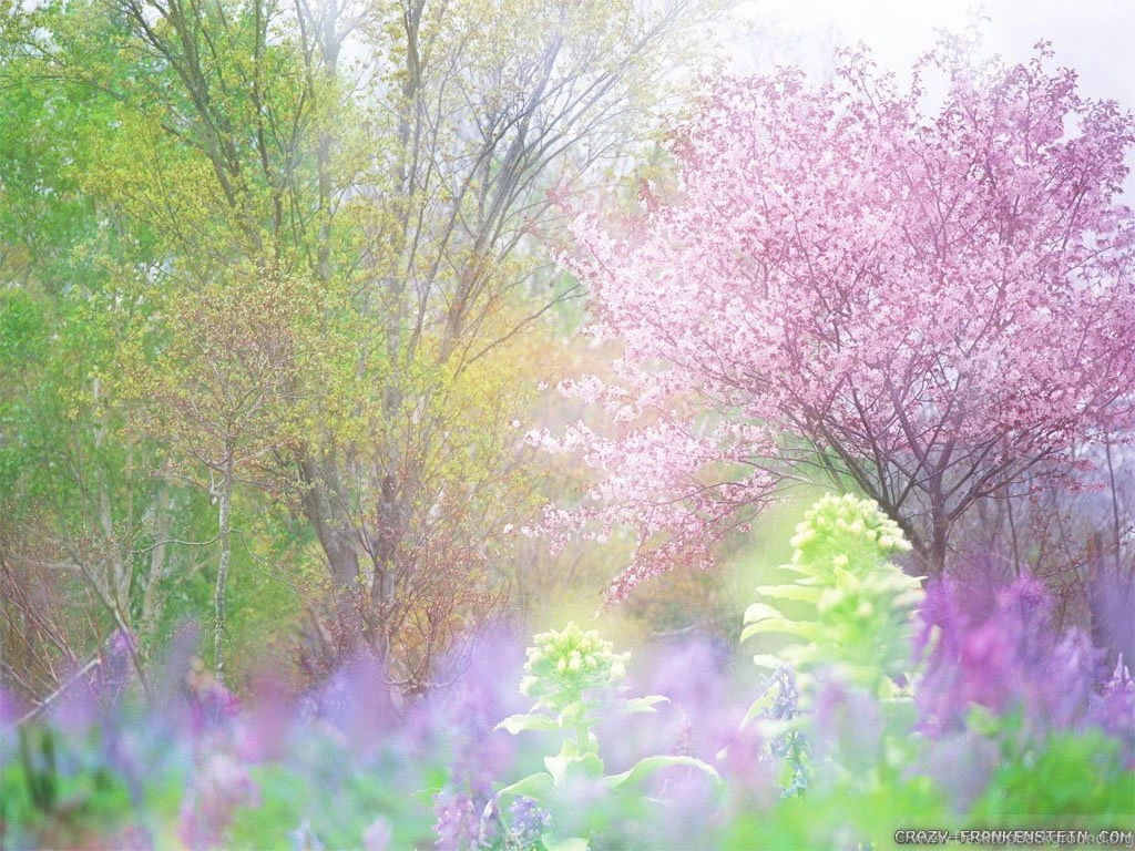 Spring Nature Wallpapers 2   Crazy Frankenstein