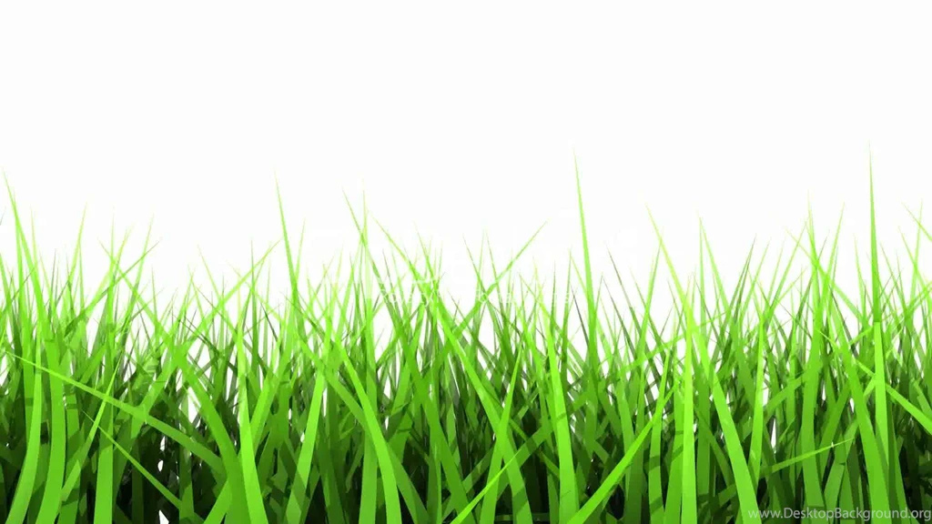 11 603810 Green Grass On White Background. Matte Channel. Ride ...