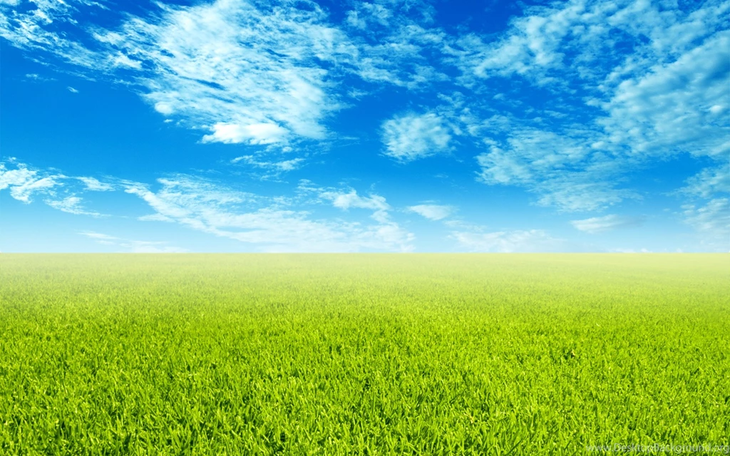 Grass Landscape Backgrounds
