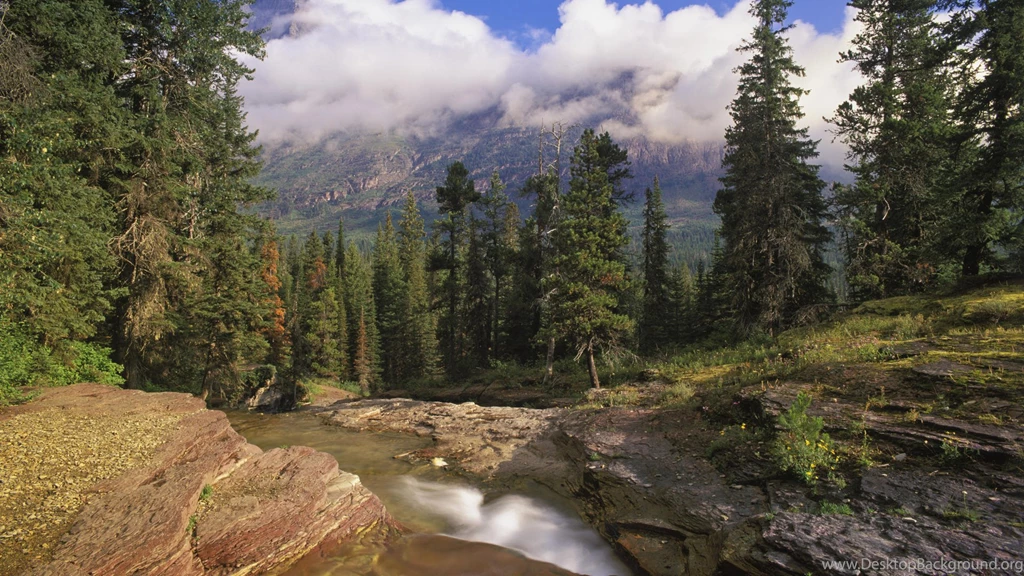 Mountain Stream Glacier National Park Montana.jpg