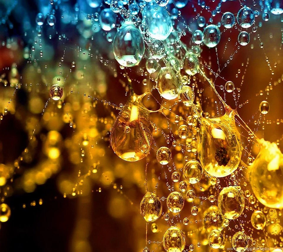 Amazing Android Wallpapers HD Collections Free Download