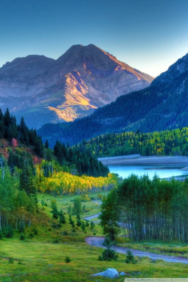 Montana Wallpapers HD Backgrounds Download Mobile iPhone 6s Galaxy ...