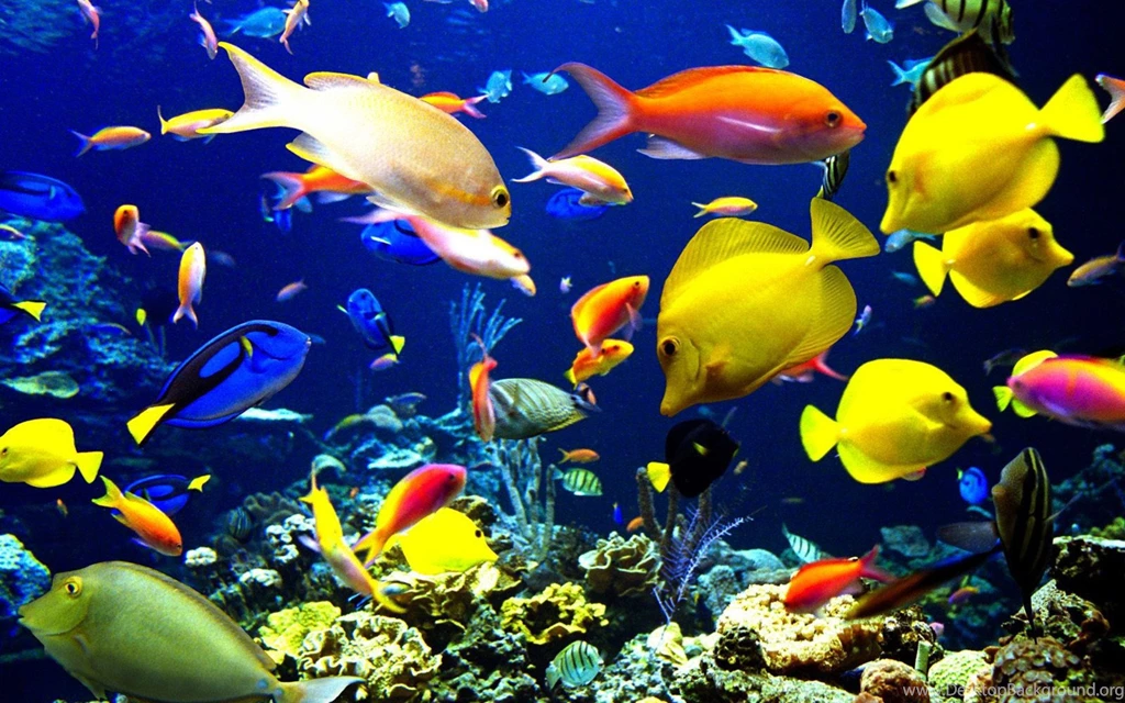 Computer Backgrounds Mdh36